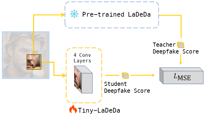 Tiny-LaDeDa