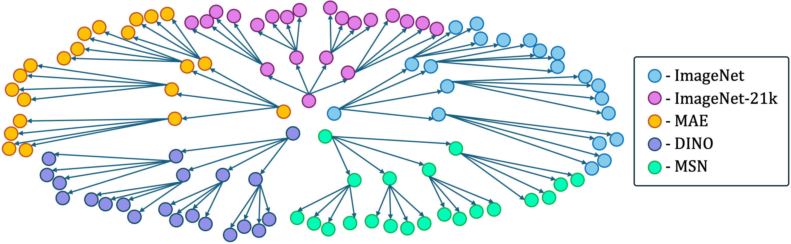 Dataset Overview