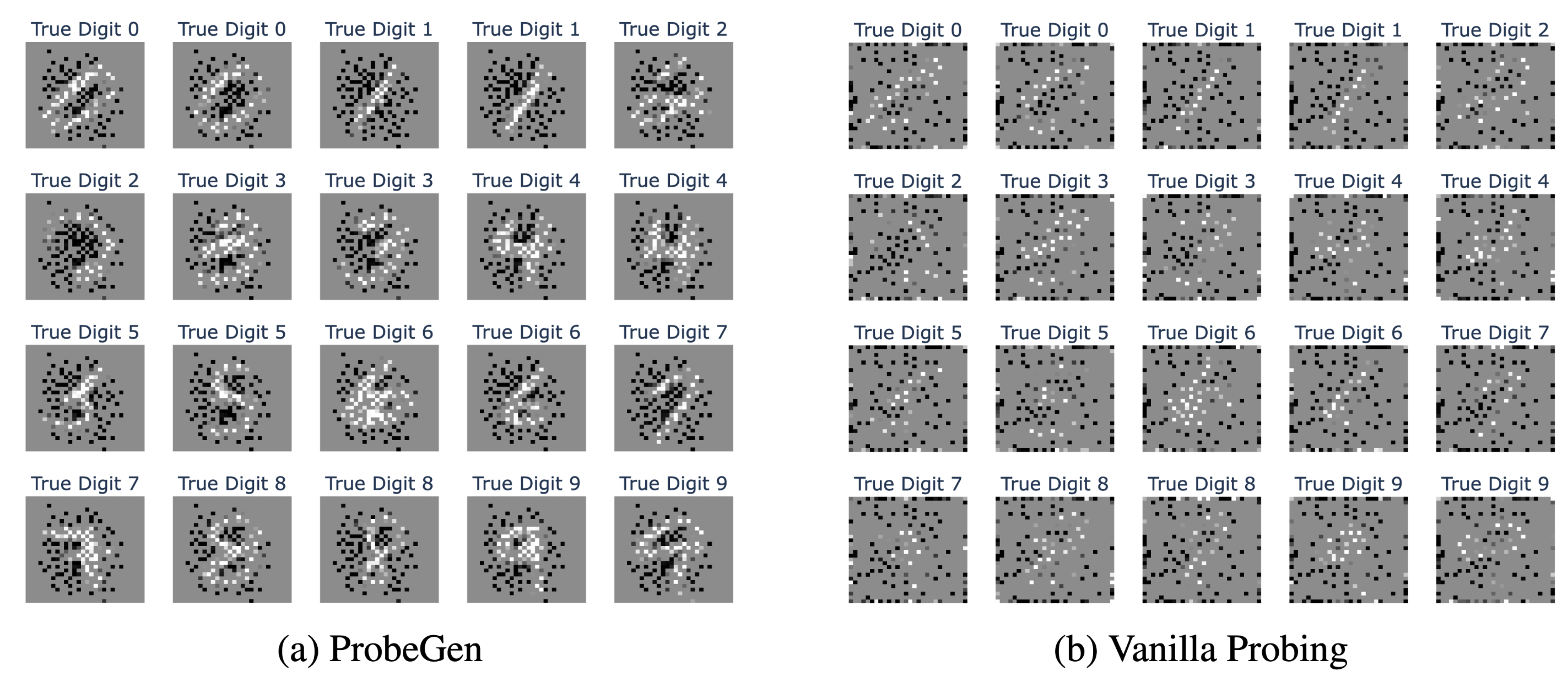 MNIST INR Representation visualization